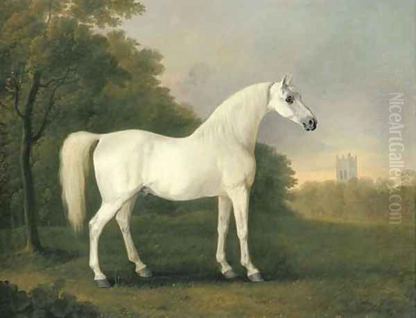 Mambrino, a grey stallion in a wooded landscape Oil Painting by John Boultbee