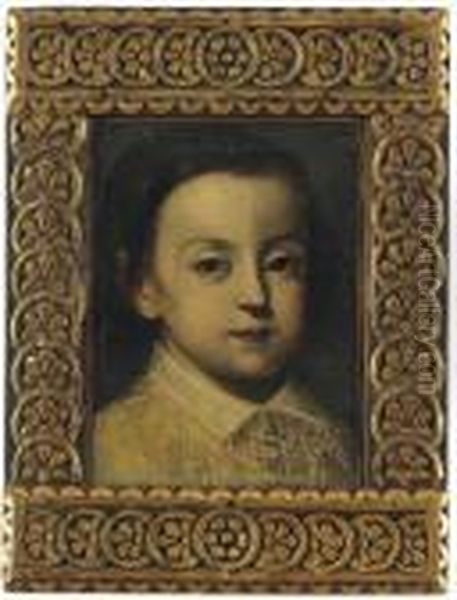 Portrait Of A Young Boy, With A Lace Collar Oil Painting by Sofonisba Anguissola