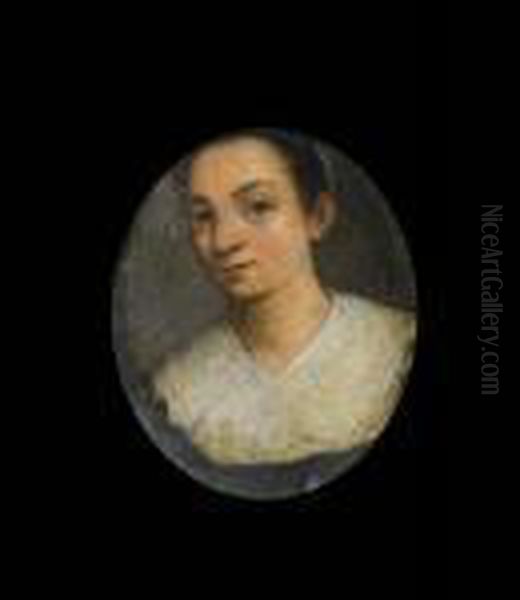 Portrait Of A Lady, Bust-length, With A White Lace Collar Oil Painting by Sofonisba Anguissola