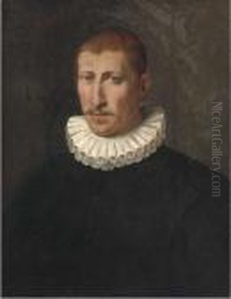 Portrait Of A Gentleman Oil Painting by Sofonisba Anguissola