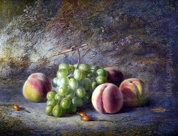 Still Life, Grapes And Peaches On A Mossy Bank Oil Painting by Charles Archer