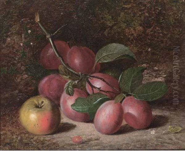 Plums And An Apple, On A Mossy Bank Oil Painting by Charles Archer