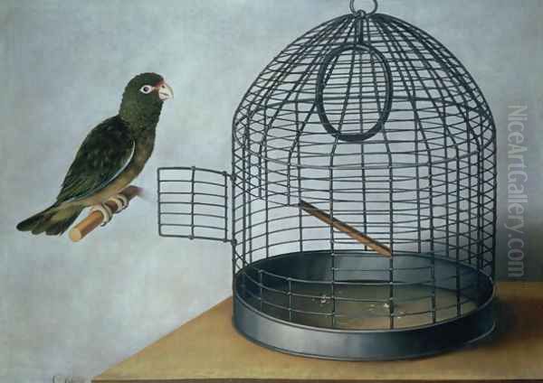 Parrot outside his cage Oil Painting by Cornelis Biltius