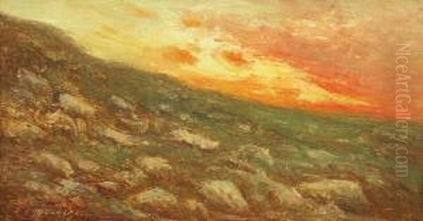 Sunset Effect Oil Painting by Constantin Aricescu