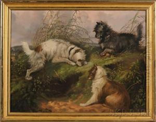 Terriers Ratting Oil Painting by George Armfield