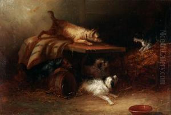 Dogs With Cat Oil Painting by George Armfield