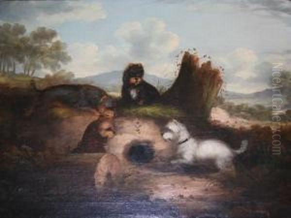 Terriers At A Rabbit Hole Oil Painting by George Armfield