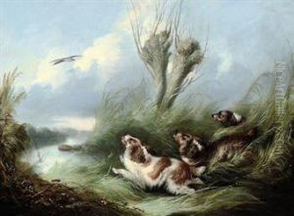 Spaniels Chasing A Mallard In Flight Oil Painting by George Armfield