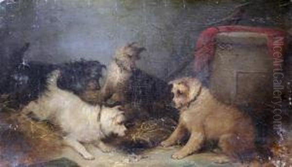 Terriers, On The Look Out! Oil Painting by George Armfield