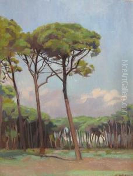 Padurea De Pini Oil Painting by Constantin Artachino