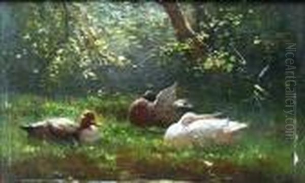 Ducks Seated On A Grassy Bank Oil Painting by David Adolf Constant Artz