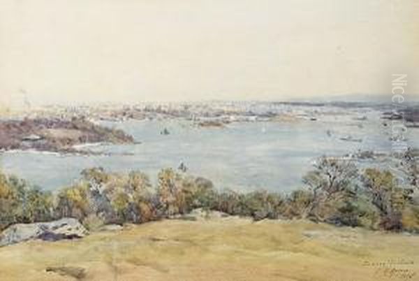 Sydney Harbour Oil Painting by Julian Rossi Ashton