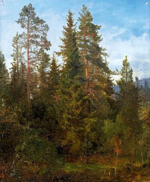 Skogsstudie Fra Eide 1868 1868 Oil Painting by Anders Monsen Askevold