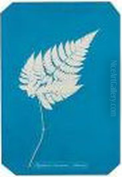 Palipodium Muscosum (jamaica) Oil Painting by Anna Atkins