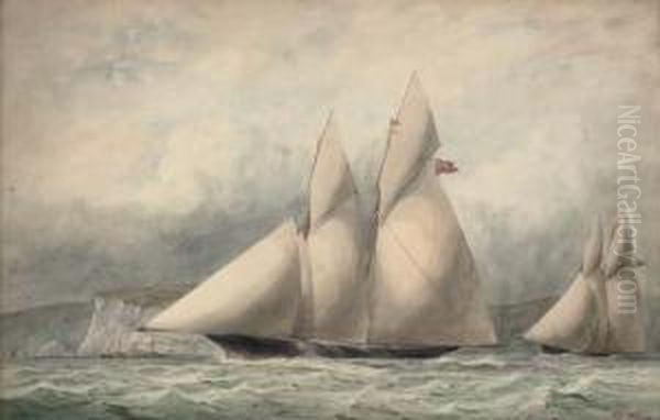 Cambria And Sappho In Close Quarters Off The Isle Of Wight Oil Painting by William Edward Atkins