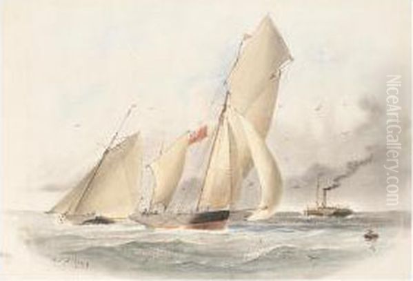 Sailing Boats And A Steam Ship Off The Coast Oil Painting by William Edward Atkins