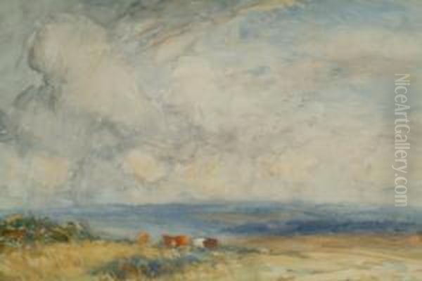 Grazing Cattle Above Runswick Oil Painting by John Atkinson