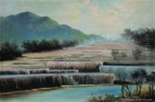 The Pink Terraces Oil Painting by Thomas Reginald Attwood