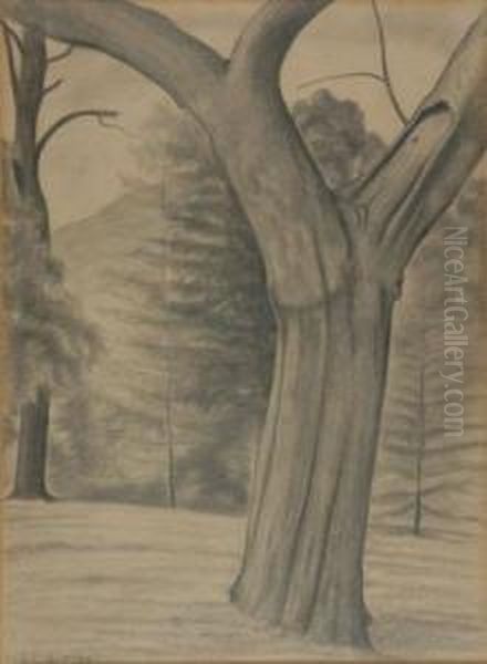 Old Apple Tree Oil Painting by George Copeland Ault