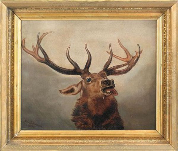 An Elk Oil Painting by Ben Austrian