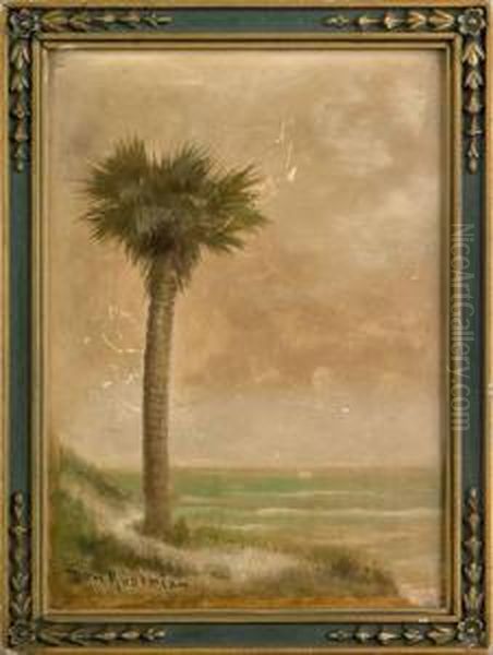 Florida Landscape Oil Painting by Ben Austrian