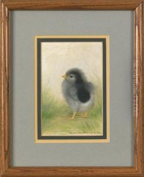 Single Chick Oil Painting by Ben Austrian