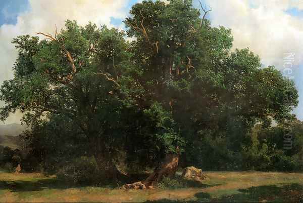 Oak Trees Oil Painting by Johannes Bosboom