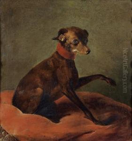 Portrait D'un Chien Sur Un Coussin Rouge. Oil Painting by Jean Jacques Bachelier