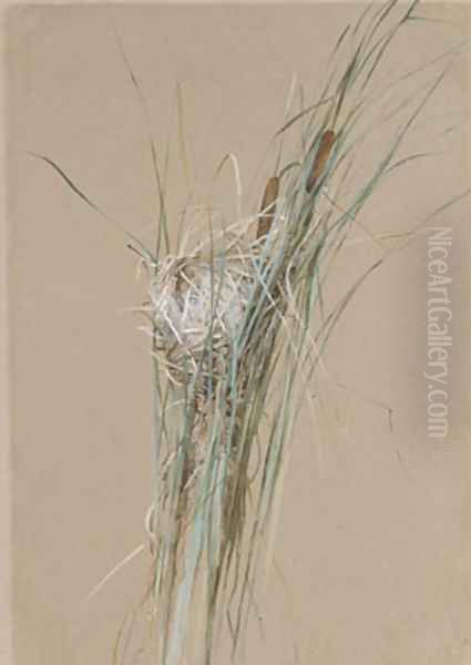 Bird's Nest in Cattails Oil Painting by Fidelia Bridges