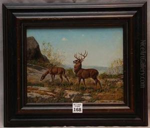 Doe And A Stag Oil Painting by William Baptiste Baird