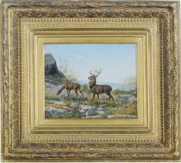 Doe And A Stag by William Baptiste Baird