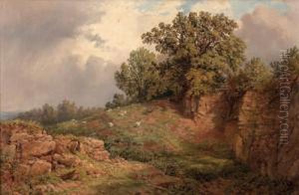 Schafherde In Felsiger Landschaft Oil Painting by Samuel Henry Baker