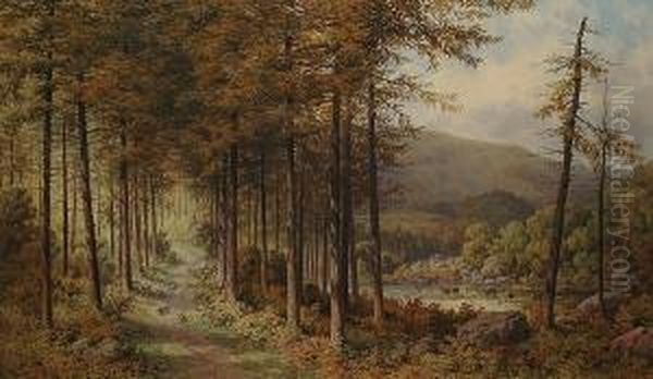 Larch Woods In Borrowdale Oil Painting by Samuel Henry Baker