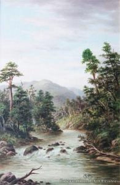 Rai Falls, Marlborough Oil Painting by William George Baker