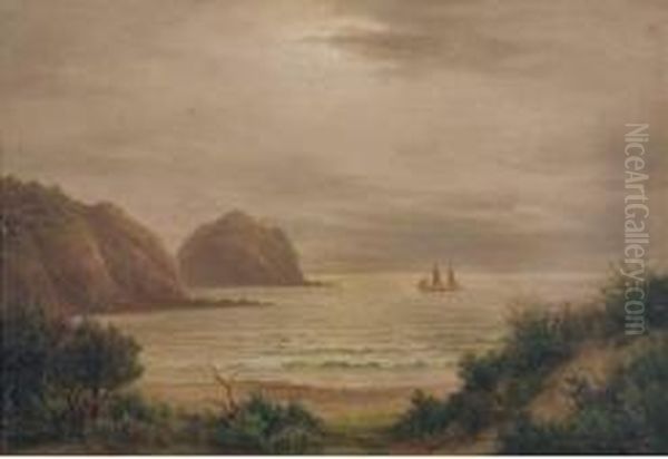 Piha Bay, Auckland Oil Painting by William George Baker