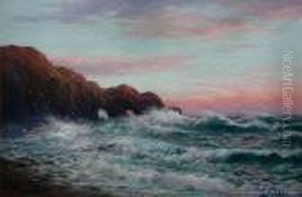 Cargills Cliffs, Dunedin Oil Painting by William George Baker