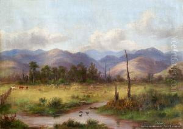 Near Matarawa, Greytown Oil Painting by William George Baker