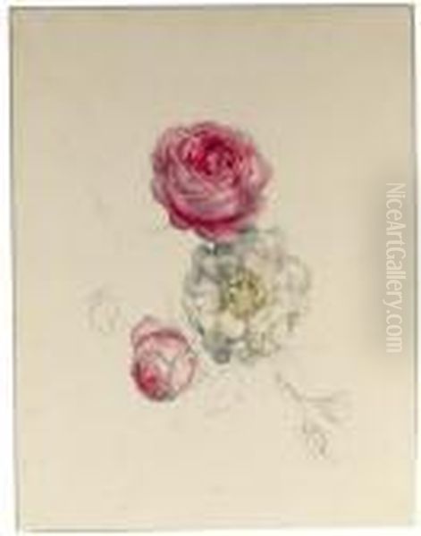 A Study Of White And Pink Roses Oil Painting by Geraldine Jacoba Van De Sande Bakhuyzen