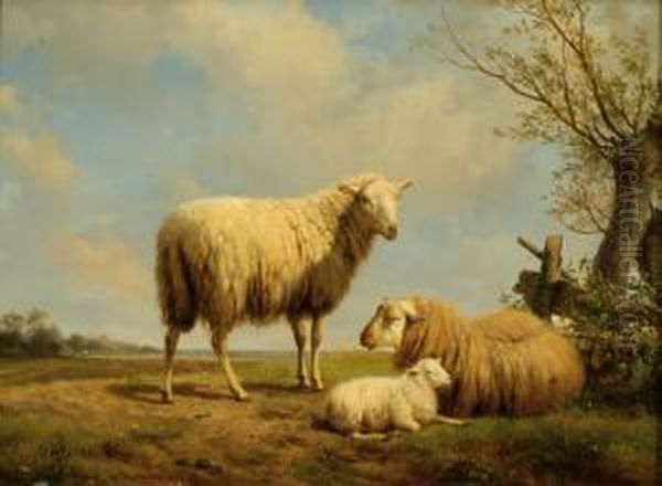 Three Sheep In A Meadow Oil Painting by Hendrikus van den Sande Bakhuyzen