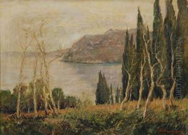 Sul Lago Maggiore by Guglielmo Baldassini