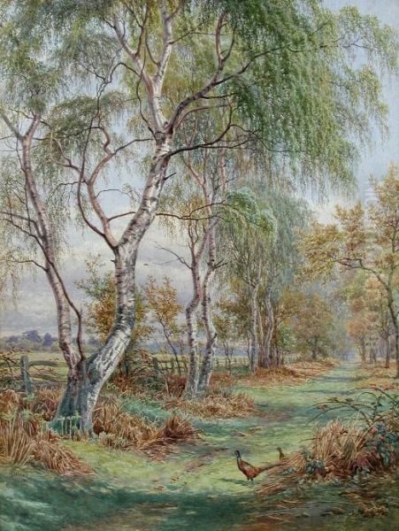 Pheasants On A Woodland Drive Oil Painting by James Walsham Baldock