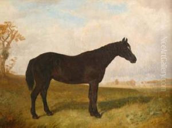 Black Horse In A Landscape With Country Housebeyond Oil Painting by James Walsham Baldock