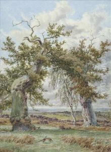 Pheasants Beneath Ancient Oaks Oil Painting by James Walsham Baldock