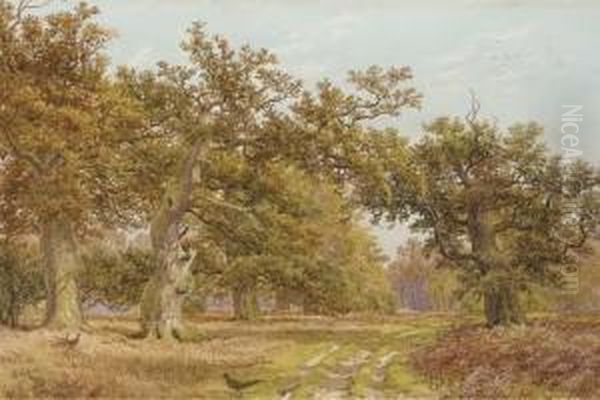 Pheasants On A Woodland Ride Oil Painting by James Walsham Baldock