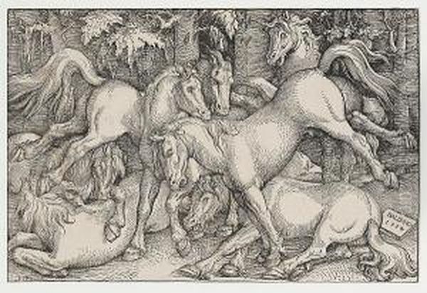 Group Of Seven Wild Horses Oil Painting by Hans Baldung Grien