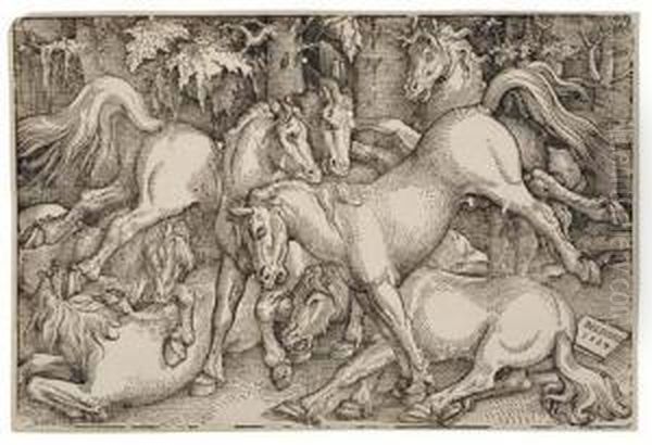 Group Of Seven Wild Horses Oil Painting by Hans Baldung Grien