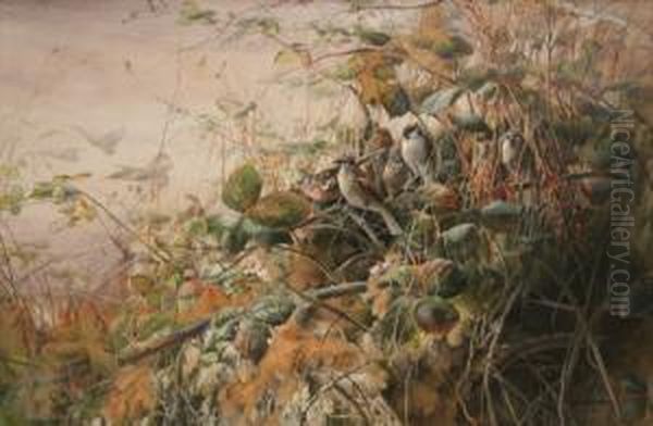 Sparrows And A Chaffinch Amongstbrambles Oil Painting by Charles Henry C. Baldwyn