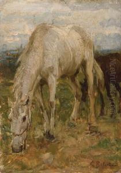 Cavallo Oil Painting by Carlo Balestrini