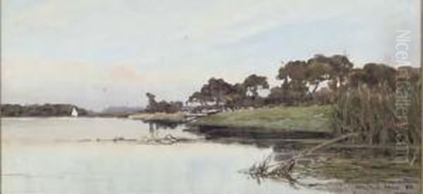 Rushes At The Water's Edge Oil Painting by Wilfred Williams Ball