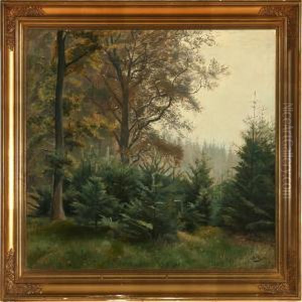 Autumn Forest Scenefrom Hojbjergskov, Denmark Oil Painting by Otto Petersen Balle